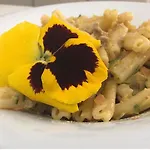 Casa Oliva Borgo Del Benessere Delle Marche Otel Bargni