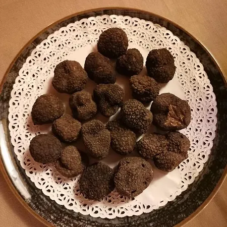 Casa Oliva Diffuso 3* Bargni